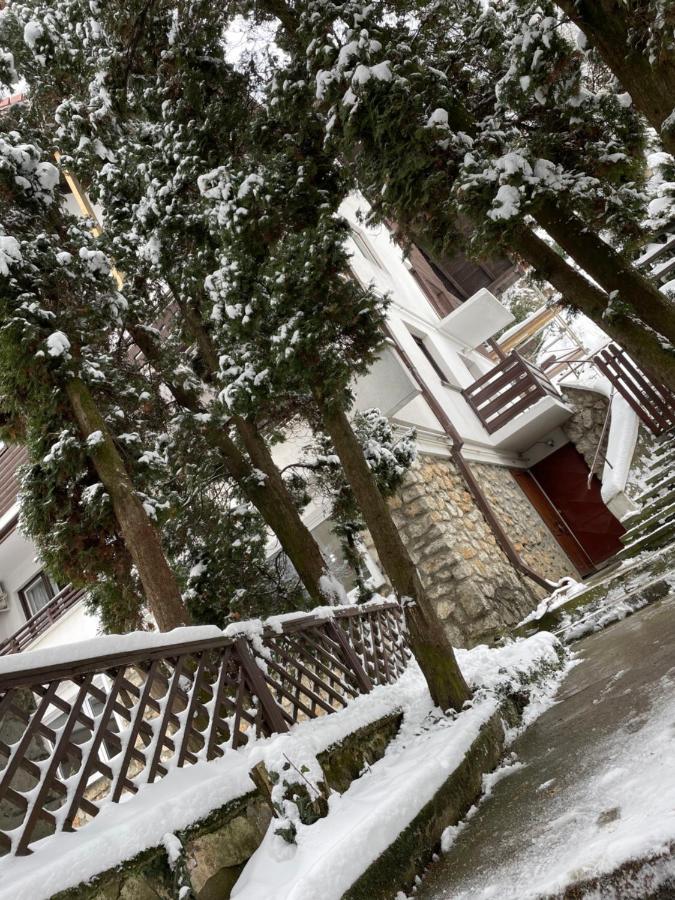 Timi Residence Brasov Exterior photo